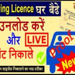 Driving Licence Download