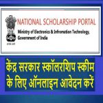 sclorship apply 2019