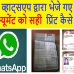 whatsapp docoment
