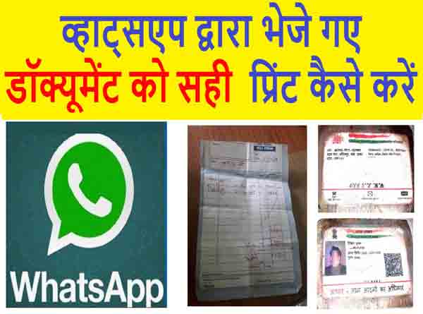 whatsapp docoment