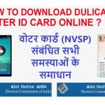 nvsp status check