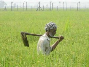 kisan