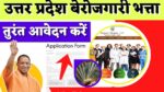 berojgari bhatta form
