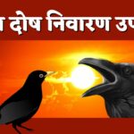 Pitra Dosh Upay 2022