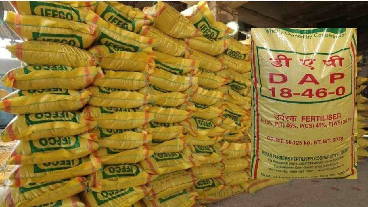 Dap Khad price