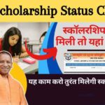 UP Scholarship